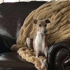 Meet your Posher, Gloria